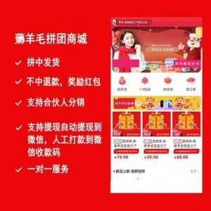薅羊毛拼团商城小程序源码v2.8.6+前端-欢迎访问本站