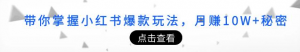 小红书涨粉变现课程：教你掌握小红书爆款玩法，月赚5W+-欢迎访问本站